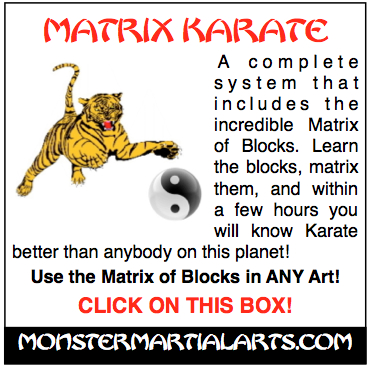 karate power