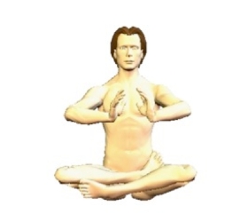 zen yoga martial arts