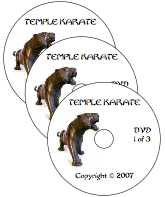 temple karate