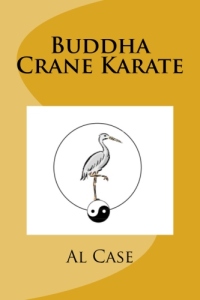 chinese hand karate martial art